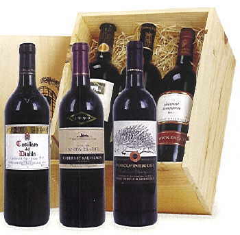 collect04.jpg (17710 Byte)